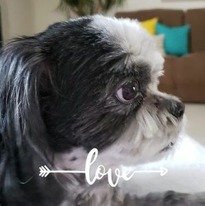 Meet your Posher, Janice